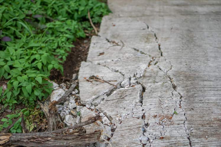 Close up of broken concrete driveway
